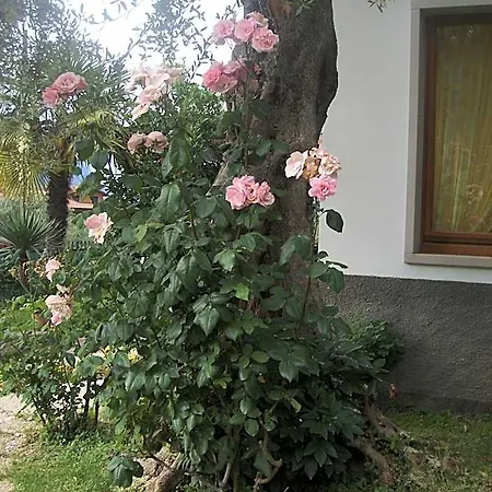 Garni Casa Rabagno Hotel 2*
