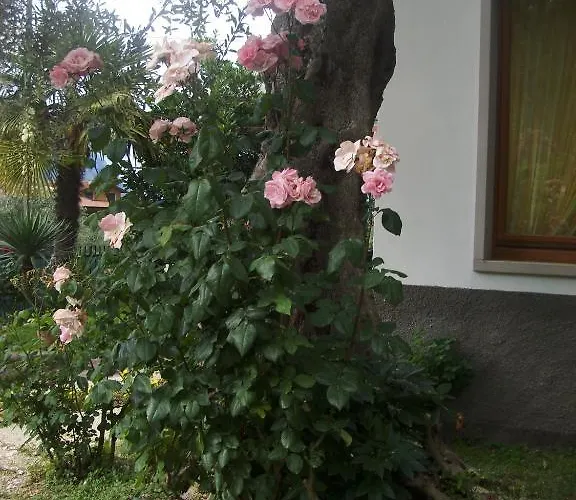 Garni Casa Rabagno Hotel